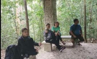 Ustin Nagoya Bukit Lawang Jungle Trekking Tours&Transport Book with us