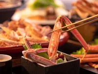 佳松苑飯店 京丹後市住宿飯店