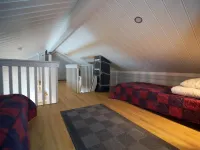 Tunturikoivu a2