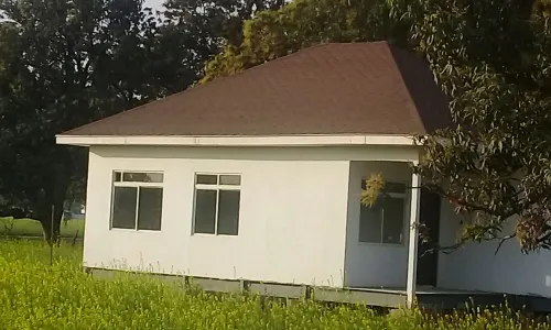 Living Green Farms