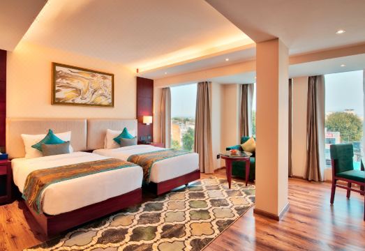 골든 튤립 에센셜 자이푸르