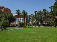 Vero