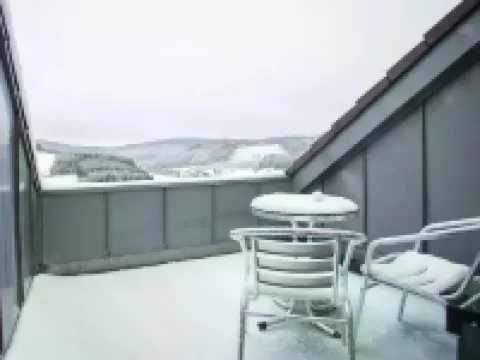 Wohnung Mit Balkon in der Nhhe Von Winterberg Hotels in Niedersfeld
