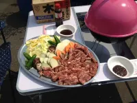 Hiruzen Cottage Sumireso Hotels in Maniwa