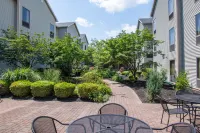 Hampton Inn & Suites Rochester/Victor Hotels in Fishers