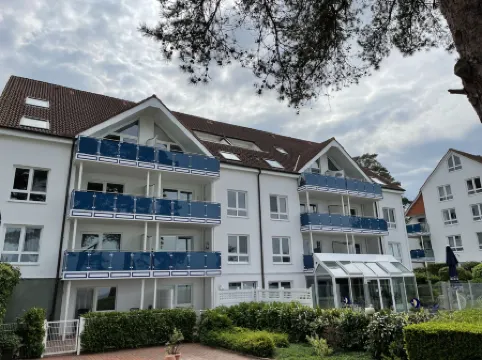 Blaumuschel (Lub118)