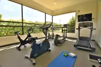 Holiday Inn Express 特木科 - 健身室/gym room