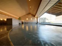 Iizaka Onsen Surikamitei Ohtori - Kuumat lähteet