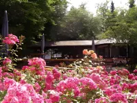 Hotel Bitburg Hotels in Gransdorf