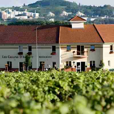 Hôtel Restaurant Les Grains d'Argent Dizy - Epernay Hotel Exterior