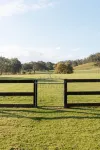 Moraea Farm, Berry - by Linnaeus Collection (Previously Far Meadow Cottage)