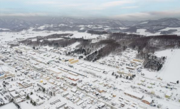 3. 더 셀레스티얼..