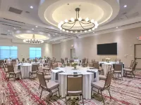 Hilton Garden Inn Dallas/Arlington Hotels in Arlington