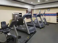 Hampton Inn & Suites Palestine - Gym