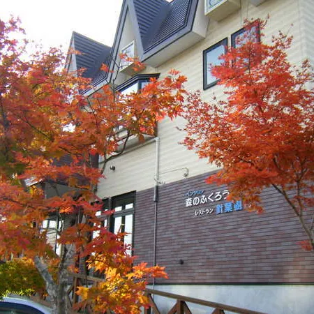 Onsen Pension Mori No Fukuro