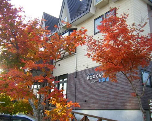 Onsen Pension Mori No Fukuro Hotels in Kato District