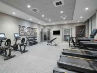 Homewood Suites by Hilton Boston Logan Airport Chelsea Hotels in Chelsea