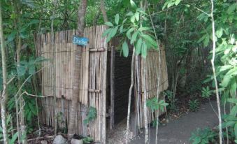 Eco-Camping Mango Feliz Rincon del Mar