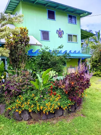 Tropical Studio Apartment! Отели в г. Хавайиан-Парадайс-Парк