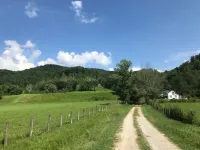 Allen Cove Farm