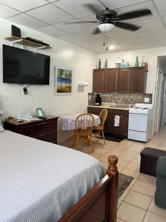 Cozy Condo in Indian Shores Beach Отели рядом с достопримечательностью «Тики Гарденс - Индиан-Шорс Бич Аксесс»