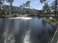 ACTIVE CONDO COMPLEX. Nestled at a nature preserve, SURVIVED MILTON!!!