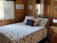 Cozy Cabin Setting - Secord Lake (kayaking) - ORV Trails & Golf Courses nearby Hotels in Gladwin County