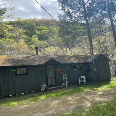 Relaxing Cabin on the Beaverkill River—A Fisherman’s Paradise Roscoe NY—
