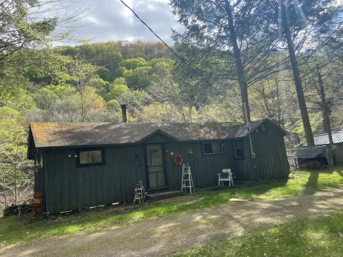 Relaxing Cabin on the Beaverkill River—A Fisherman’s Paradise Roscoe NY—