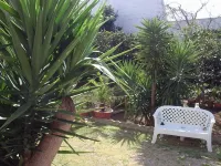 Brand new outbuilding surrounded by greenery not far from the sea LAST MINUTE SEPT! Hotels in Nardò