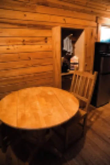 Charming cabin with loft, porch swing, AC, and WiFi on 295-acre peaceful retreat