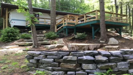 Peaceful Nest / Nirvana Amidst Trees