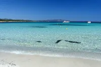 Delightful villa at 800 meters from the beautiful beaches of Pittulongu Hotels in Pittulongu