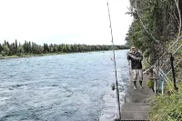2 Bedroom Kenai River Hideaway-Located right on the Kenai River!
