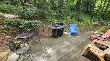 Fern Hill Cabin - near Dupont State Forest Отели в г. Данс Рок