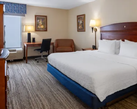 ハンプトン イン バイ ヒルトン チェスター サウス バミューダのホテル