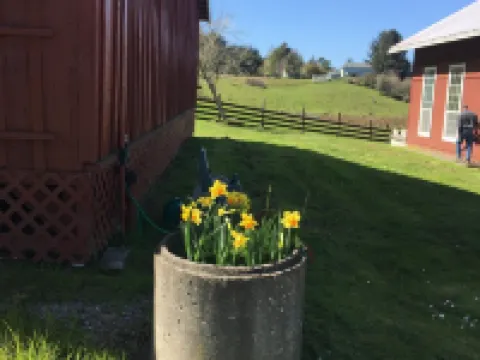 Ferndale BluffHouse --  Farm House sleeps 9; 10 acre former dairy Hoteles en Ferndale