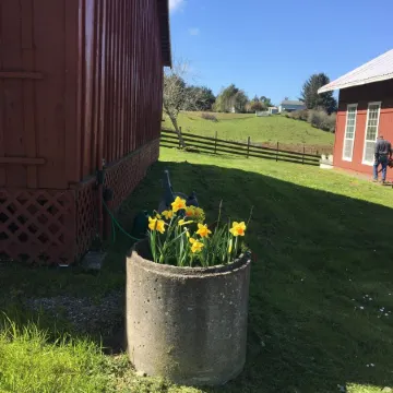 Ferndale BluffHouse -- Farm House sleeps 9; 10 acre former dairy