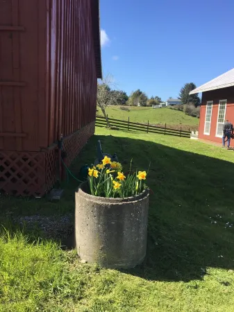 The Garden Suite has beautiful views of forests and pastures! It is dog friendly