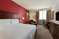 Hilton Garden Inn Queretaro Hotels near University Bookstore