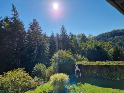 Water lily Apartment