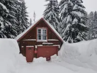 Private Mountain Cabin - Pet friendly and fast internet