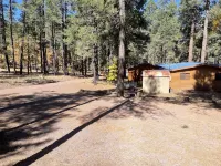 Your going to fall in love with this cabin.outstanding for family,multi families