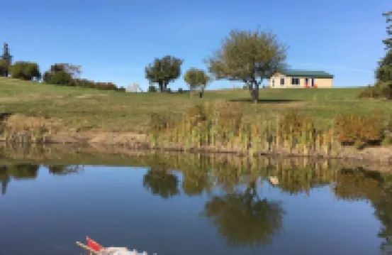 Ebb Tide- "Magical by Nature"