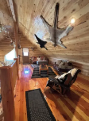 Cozy cabin in beautiful Meeker, CO-10 miles from town, perfect for OHV travelers