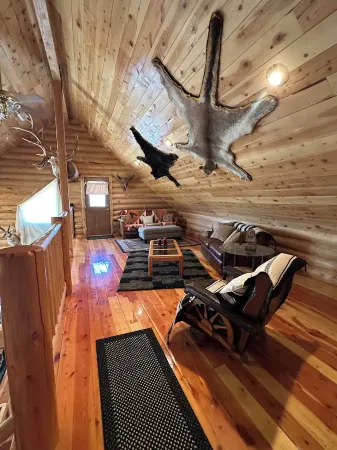 Cozy cabin in beautiful Meeker, CO-10 miles from town, perfect for OHV travelers