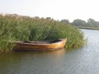 Holiday apartment on the beach in a traditional thatched-roofed house Hotel a Zingst