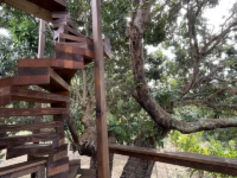 Love Kona Farm Life in nature - Lychee Hale Hotels in Captain Cook