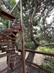 Love Kona Farm Life in nature - Lychee Hale