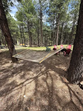 Cozy, Quiet Picturesque Cabin in the Pines & Perfect Escape from the Heat!